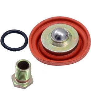 AEM Adjustable Fuel Pressure Regulator Rebuild Kit, (25-392)