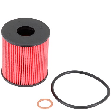 K&N Oil Filter, HP-7024, Ryco R2663P, FRAM CH10066, Mini Cooper
